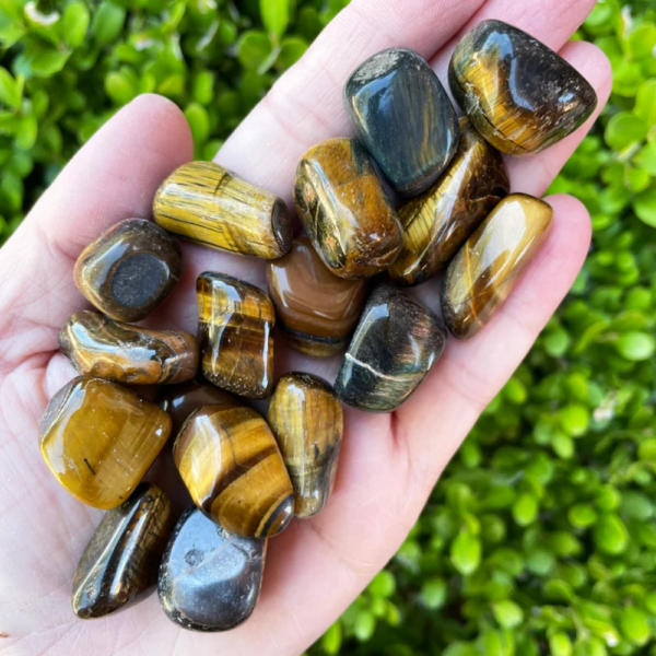 Tigers eye Tumbles (Single)