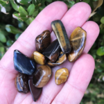 Tigers eye Tumbles (Single) - Image 3