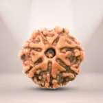 5 Mukhi & 7 Mukhi Rudraksha