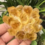 Citrine Family Crystal (1Kg) - Image 2